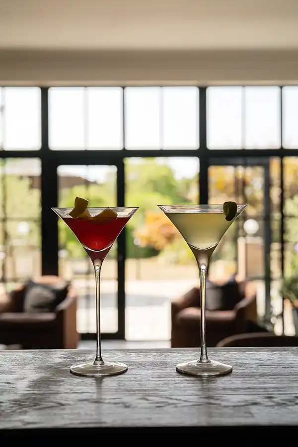 Cocktails on the bar