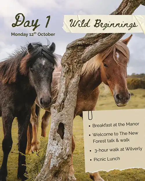 Day 1