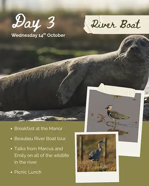 Day 3