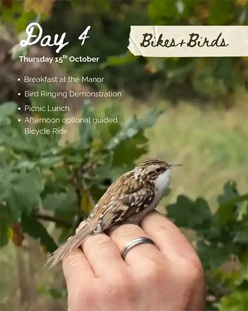 Day 4