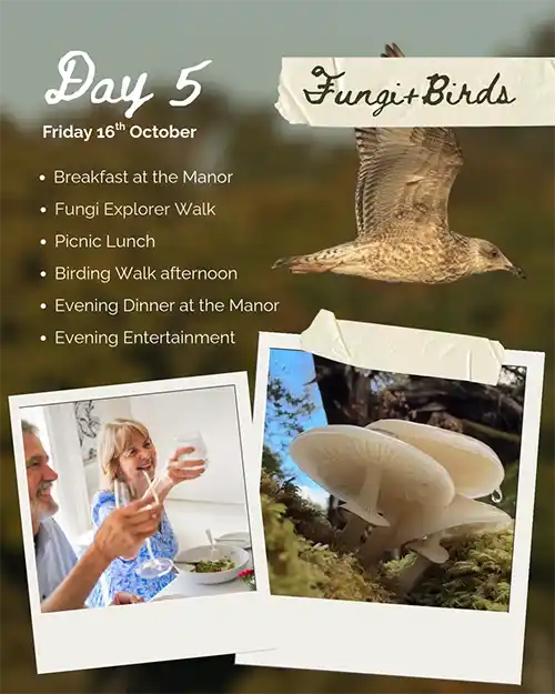 Day 3