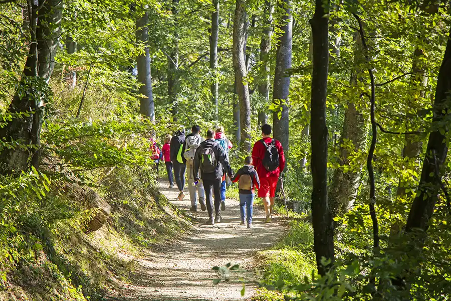 Group of people walking in the New Forest